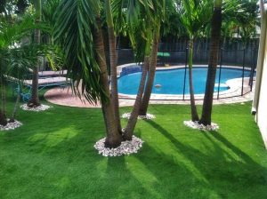 Artificial Grass Installation Company, Tree Well Surfacing Contractor Sunrise Manor NV