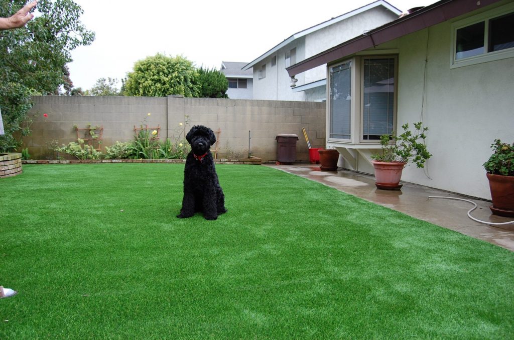 Artificial Turf Sunrise Manor Artificial Grass Synthetic Landscape Lawns