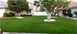 Artificial Grass Maintenance Contractor, Synthetic Lawn Cleaning and Maintenance Sunrise Manor NV
