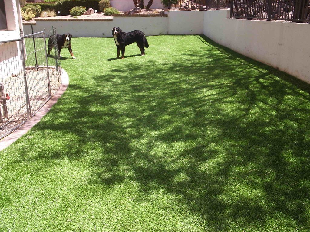 Artificial Putting Greens Sunrise Manor, Artificial Turf Installers Sunrise Manor