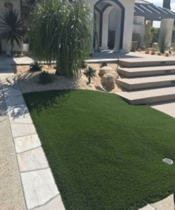 Artificial Turf Budget Lawn Ideas In Sunrise Manor NV